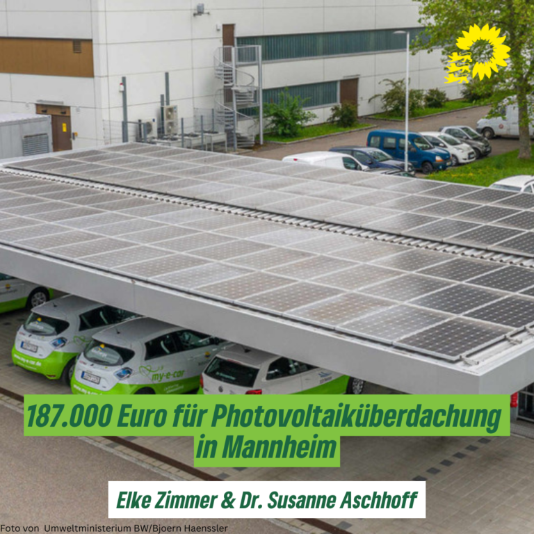 Fördermittel für Photovoltaiküberdachung in Mannheim